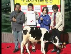 일본, ‘2009년 소의 해’ 이색 송년행사 