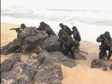 해군 특수전여단, 소말리아 해적 격퇴 선봉 