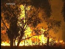 호주 대형 산불 84명 사망…일부 지역 방화 