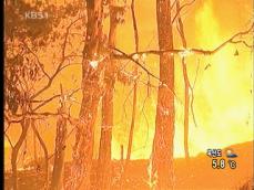 호주 산불 피해 확산…170명 사망 