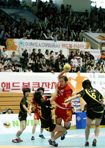 1일 오후 성남실내체육관에서 열린 2009 SK 핸드볼큰잔치 여자부 결승 벽산건설과 용인시청의 경기를 많은 관중들이 지켜보고 있다. 