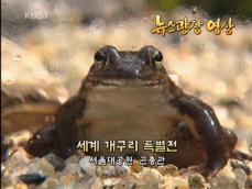 [뉴스광장 영상] 세계 개구리 특별전 