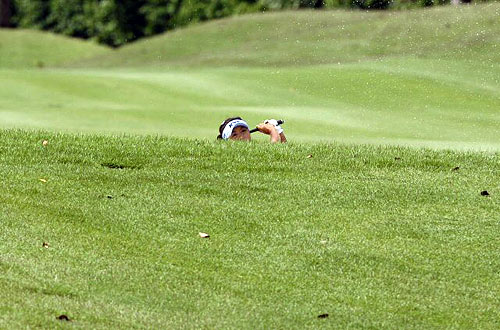 8일 싱가포르 타나메라 골프장에서 열린 미국여자프로골프(LPGA) 투어 HSBC 위민스 챔피언스 최종라운드 5번홀에서 김미현이 힘찬 퍼팅을 하고 있다. 