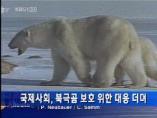 국제사회, 북극곰 보호 위한 대응 더뎌 