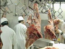 캐나다, ‘쇠고기 금수’ WTO 제소 착수 