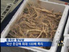 중국산 장뇌삼, 국산으로 속여 