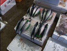 생선 가격도 ‘껑충’…허전해진 서민들 밥상 