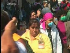 정체 불명 돼지 인플루엔자에 북미 공포 