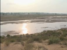 중국 사막화…강을 지켜라! 