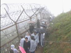 금단의 땅 ‘DMZ’ 생태관광의 메카로! 