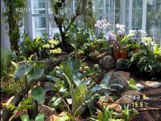‘열대 희귀식물 천국’ 연구센터 개원 