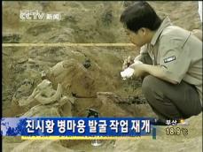 진시황 병마용 발굴 작업 재개 