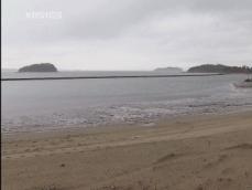 인공 해수욕장, 세금으로 해변 파괴 