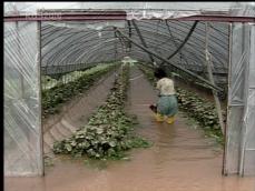 경남, 폭우에 아수라장…피해 잇따라 