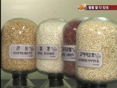 맛·건강 잡는 ‘기능성 쌀’ 속속 등장 