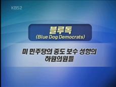 [뉴스 키워드] 블루독 
