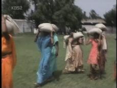 [세계는 지금]인도 여성들 ‘짐꾼’ 체력장 外 