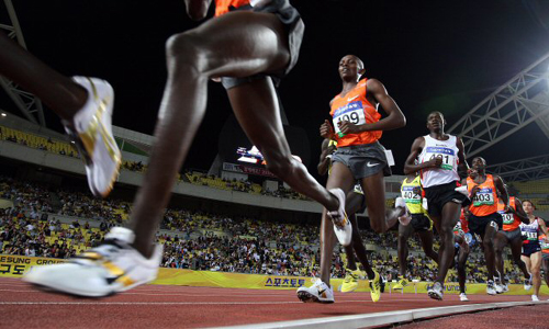 25일 대구스타디움에서 열린 2009 대구국제육상경기대회 남자 5000미터 달리기에서 선수들이 역주하고 있다. 
 