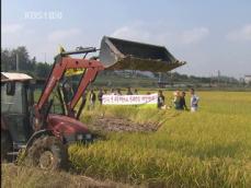 ‘쌀값’ 성난 농심…정부 “쌀 23만 톤 추가 매입” 