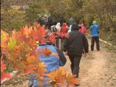 ‘청정 지역 비경’ 대암산, 60년 만에 개방 