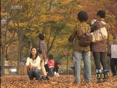 동물원 단풍·낙엽 축제 ‘가을 만끽’ 