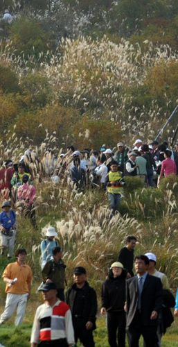 신지애가 LPGA 투어 하나은행-코오롱챔피언십 1라운드를 5언더로 마무리 했다. 30일 인천 스카이72 골프장 오션코스에서 열린 1라운드 중 많은 갤러리들이 신지애와 오초아 조를 따르고 있다. 
