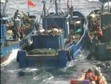 [현장추적] 중국 어선 ‘도 넘은 불법 조업’ 
