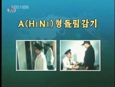 신종플루, 북한도 검역 비상 
