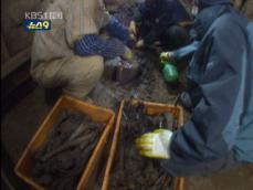 한국전쟁 민간인 피해 유골 발굴 ‘사실상 중단’ 