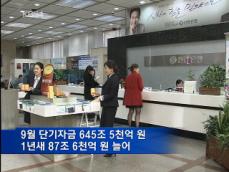 금융위기 이후 단기부동자금 90조원 늘어 